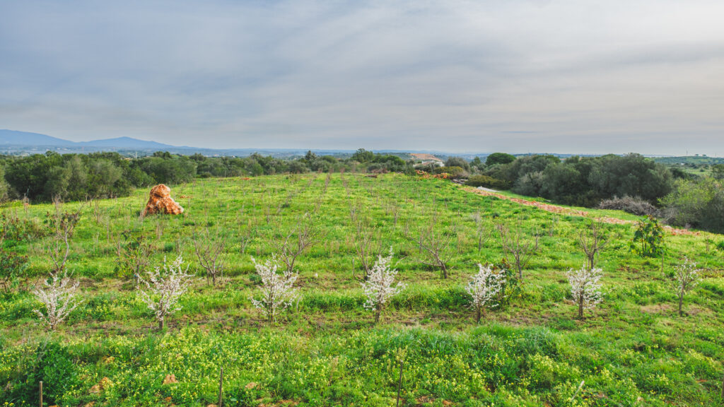 vicentina rotas rurais 2025