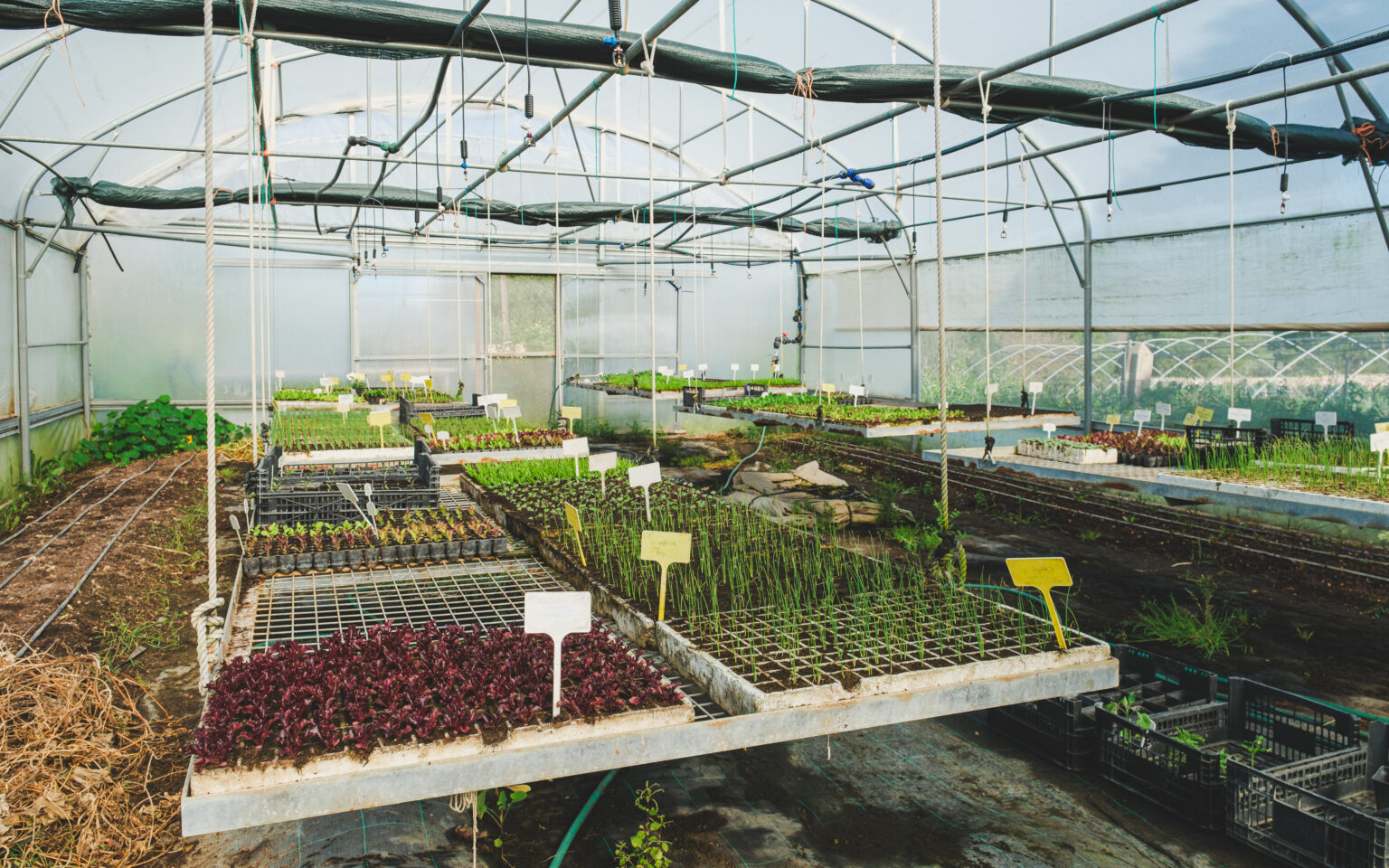 Quinta do Vale da Lama vico ughetto